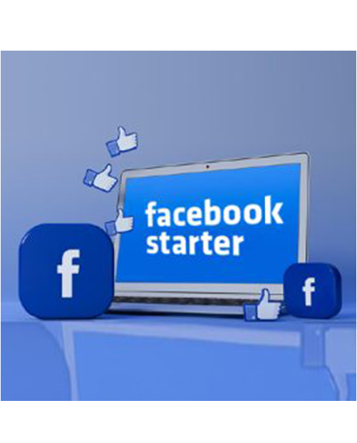 Facebook Ads STARTER