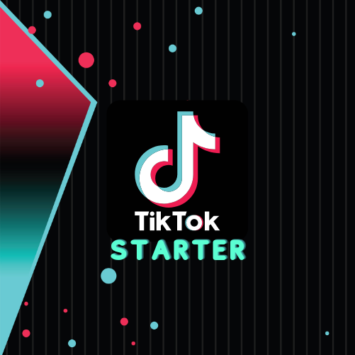 TikTok Ads STARTER